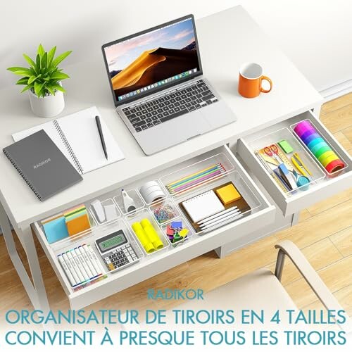 Organisateurs de Tiroir Radikor